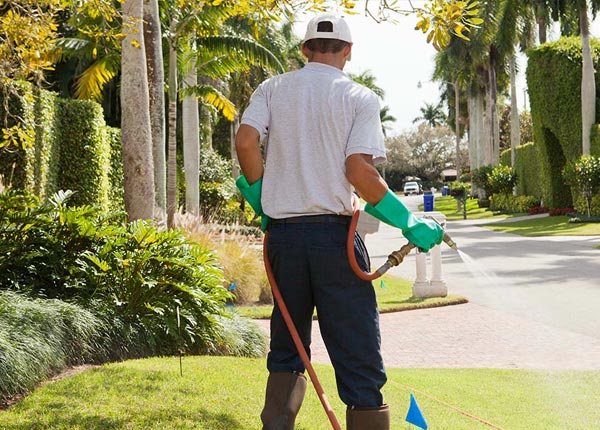 About Oak Forest IL Pest Control
